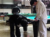 (42) ボルトでしっかりと固定していきます (42) ボルトでしっかりと固定していきます
